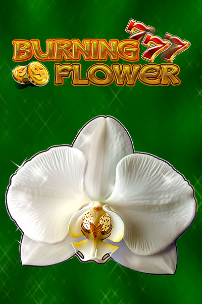 Burning Flower