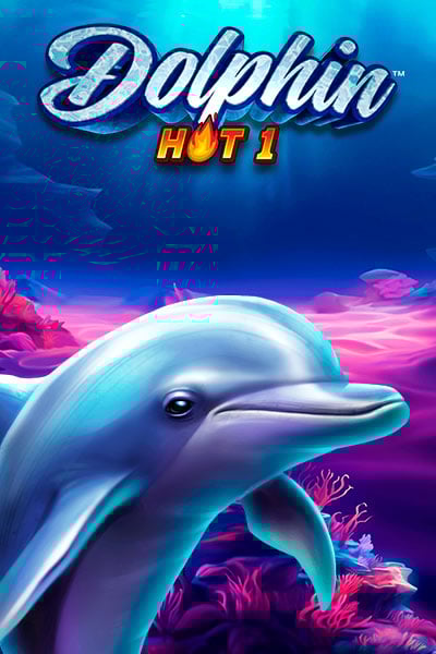 Dolphin Hot 1